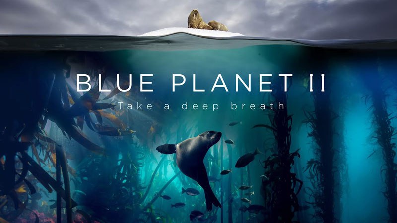 Blue Planet II Segera Hadir dan Trailer Tampak Tidak Nyata