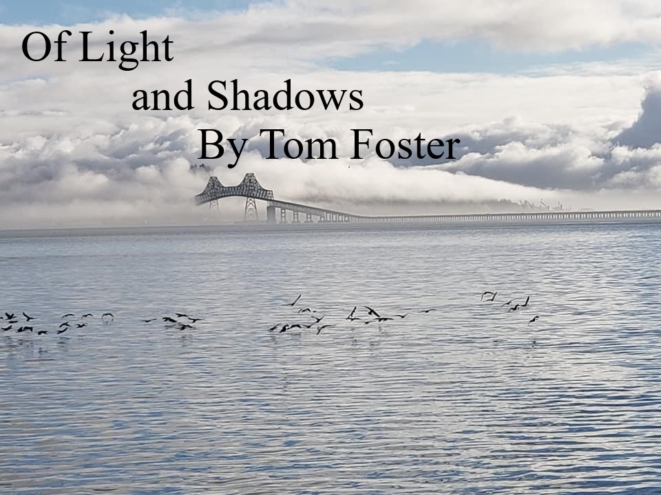 Lima Buku yang Harus Anda Baca oleh Penulis Baru Tom Foster