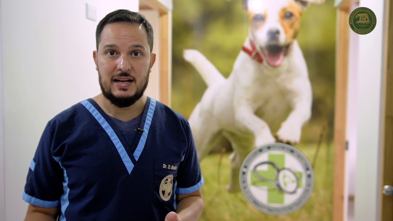 veterinaria san francisco de asis