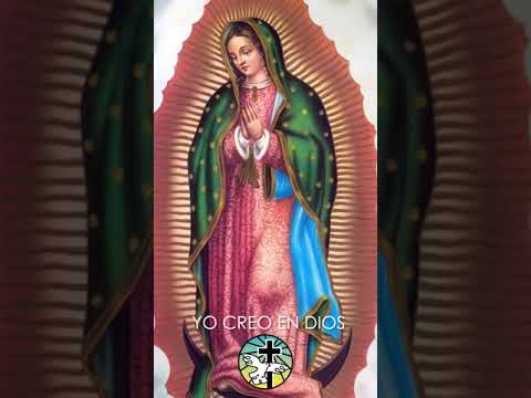virgen de guadalupe imagen