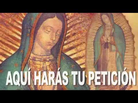 virgen de guadalupe